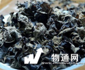 木耳价格,探寻市场供需背后的秘密
