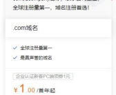 一元域名,开启低成本网络时代的无限可能